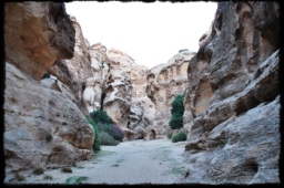 little_petra_0746.JPG