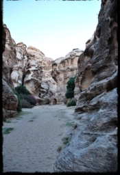 little_petra_0747.JPG