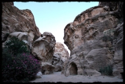 little_petra_0771.JPG