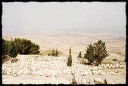 nebo_mountain_0522.JPG
