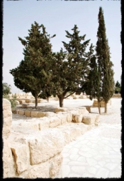 nebo_mountain_0532.JPG