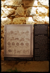 nebo_mountain_0533.JPG