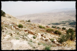 nebo_mountain_0547.JPG