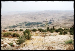 nebo_mountain_0548.JPG