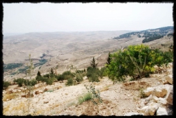 nebo_mountain_0549.JPG
