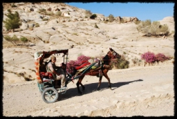 petra_jordan_0805.JPG