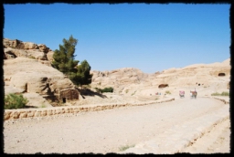 petra_jordan_0807.JPG