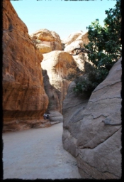 petra_jordan_0827.JPG