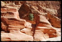 petra_jordan_0858.JPG