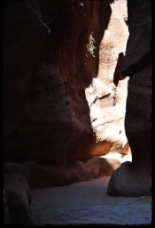 petra_jordan_0881.JPG