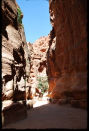 petra_jordan_0882.JPG