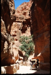 petra_jordan_0884.JPG