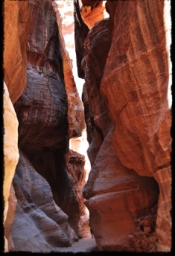 petra_jordan_0894.JPG