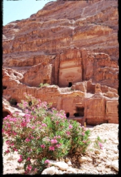 petra_jordan_0978.JPG