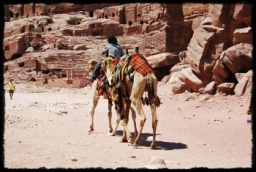 petra_jordan_1013.JPG