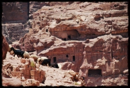 petra_jordan_1044.JPG