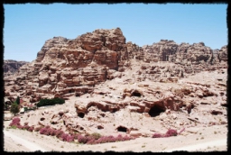 petra_jordan_1113.JPG