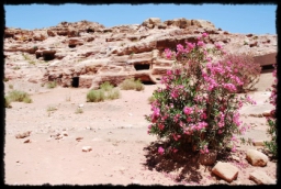 petra_jordan_1133.JPG