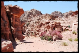 petra_jordan_1136.JPG