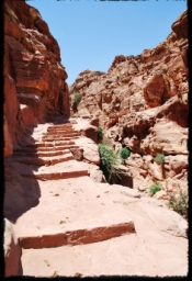 petra_jordan_1151.JPG