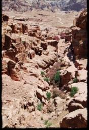 petra_jordan_1161.JPG