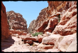 petra_jordan_1166.JPG