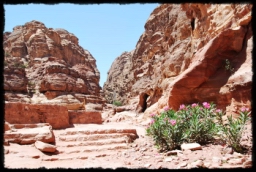 petra_jordan_1167.JPG