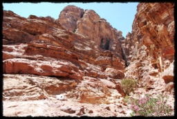 petra_jordan_1194.JPG