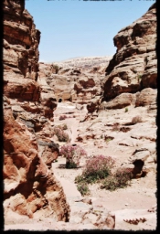 petra_jordan_1201.JPG