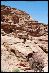 petra_jordan_1206.JPG