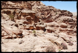 petra_jordan_1210.JPG