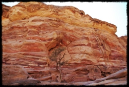 petra_jordan_1220.JPG
