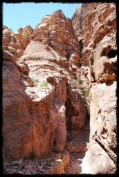 petra_jordan_1222.JPG