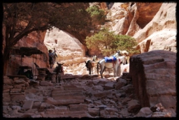 petra_jordan_1237.JPG