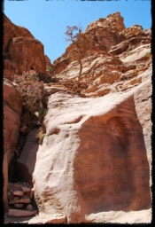 petra_jordan_1258.JPG