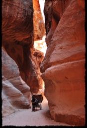 petra_jordan_1355.JPG