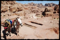 petra_jordan_1363.JPG