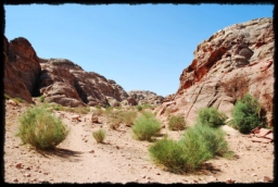 petra_jordan_1385.JPG