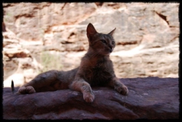 petra_jordan_1424.JPG