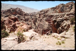 petra_jordan_1531.JPG