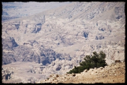 wadi_rum_1615.JPG