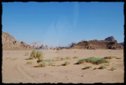 wadi_rum_1677.JPG