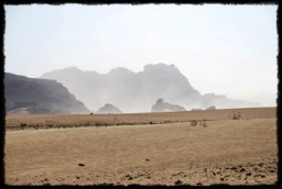 wadi_rum_1711.JPG