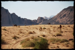 wadi_rum_1734.JPG