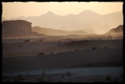 wadi_rum_1830.JPG