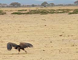 kenya_super_tours_2647.JPG