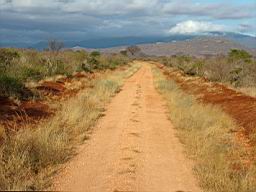 safari_kenia_2236.JPG