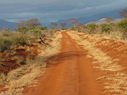 safari_kenia_2245.JPG