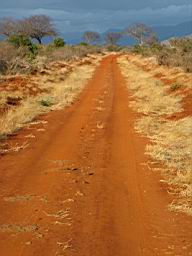 safari_kenia_2246.JPG