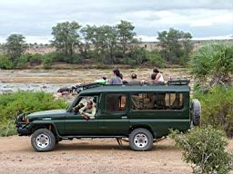 safari kenia 